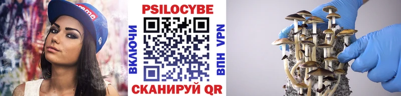 Галлюциногенные грибы Psilocybe  Балахна 